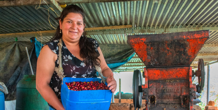 Impact Story: Lily Heredia Altamirano, Norandino