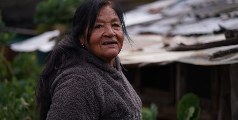 Impact Story: María Esther Chalacamá